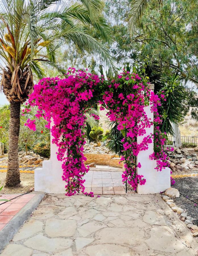 Mojacar Farmhouse Apartments With Pool Los Gallardos Exterior photo